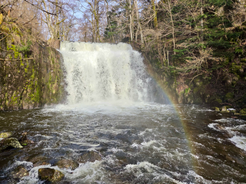Bois de Chaux Égliseneuve-d’Entraigues